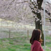 桜会