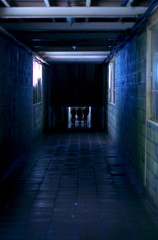 その向こうへ行こう