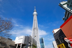 スカイツリー
