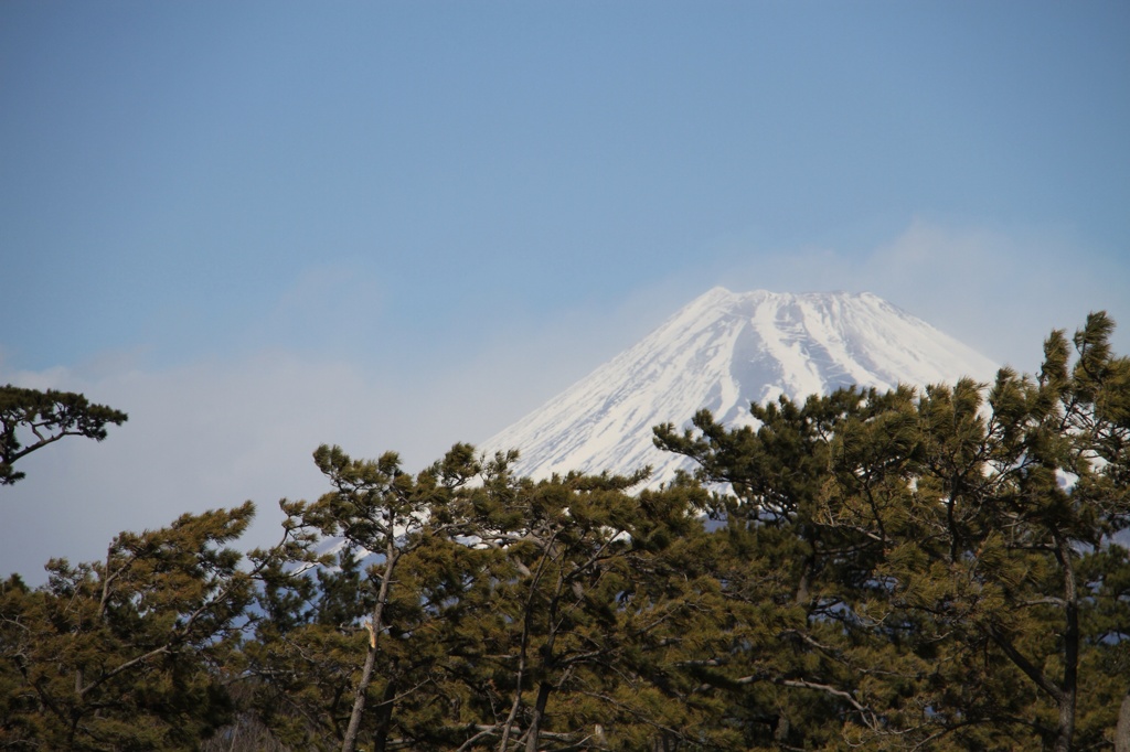 富士山 5