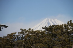 富士山 5