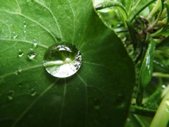 水滴2
