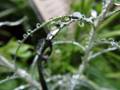水滴1
