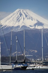 富士山 7-1