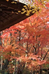 i真っ盛り‼︎
