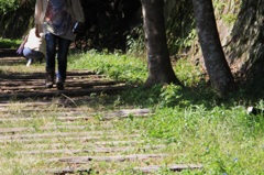 散歩路に