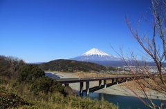 富士山 7