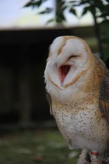 はくしょん‼︎