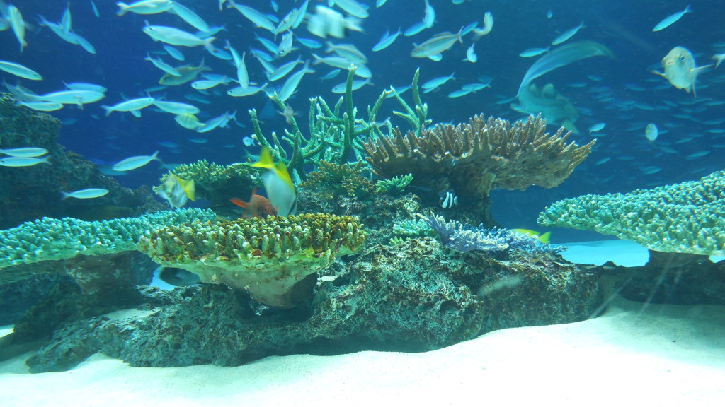 サンシャイン水族館