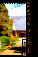 黄金の文字