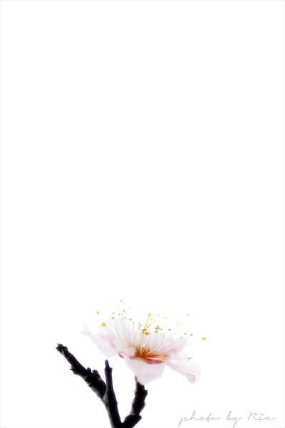 1049
