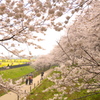 IMGP2788-3