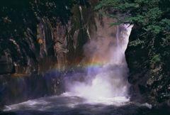 滝壺に掛かる虹