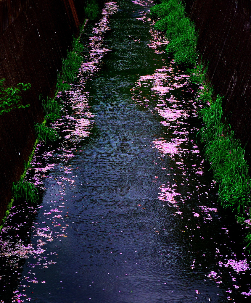 花水路