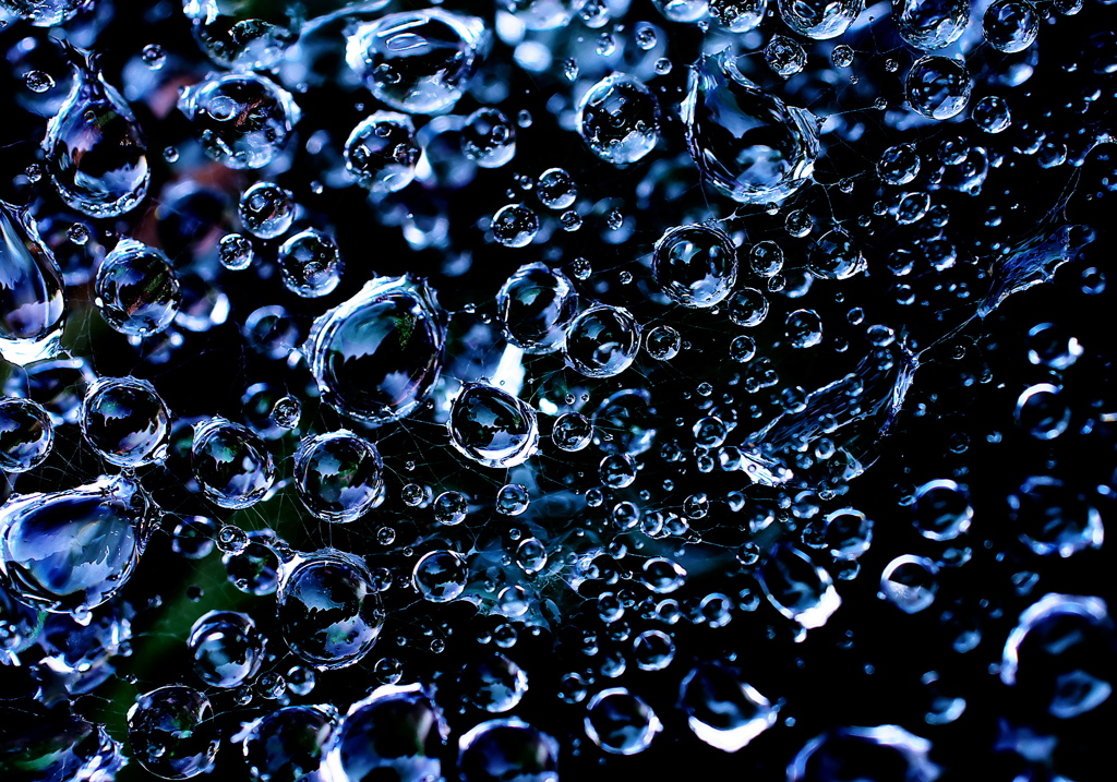small cosmo 2