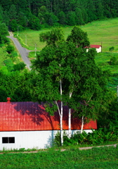 赤い屋根