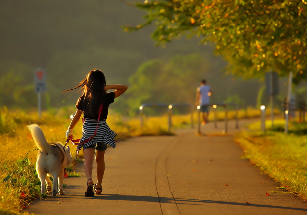 秋の夕日に照る散歩道♪