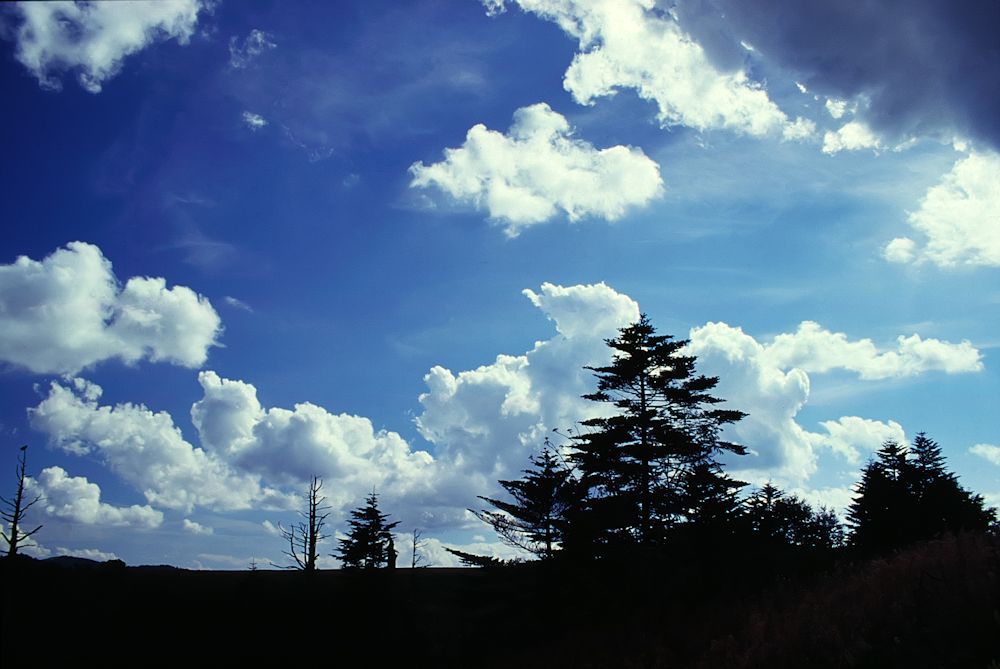 初秋の空