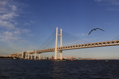 横浜クルーズ