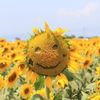 にこっ