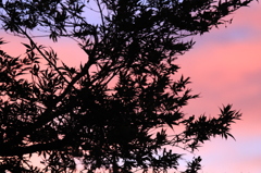 夕暮れ時