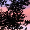 夕暮れ時