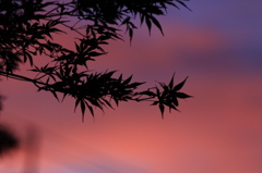 夕暮れ時