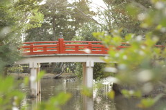 大宮氷川神社