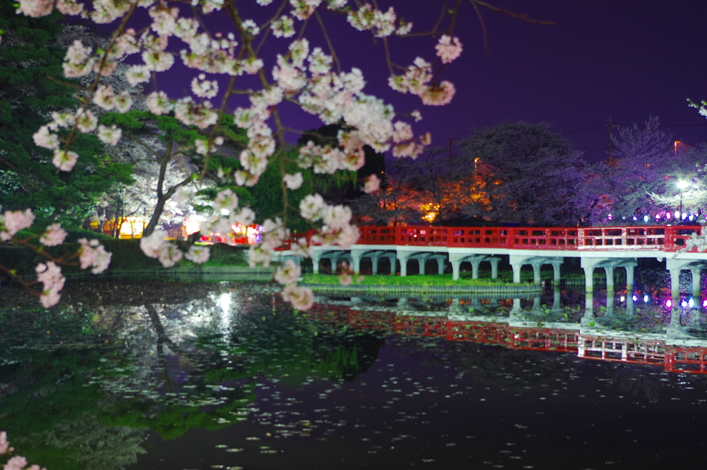 赤い橋と桜と