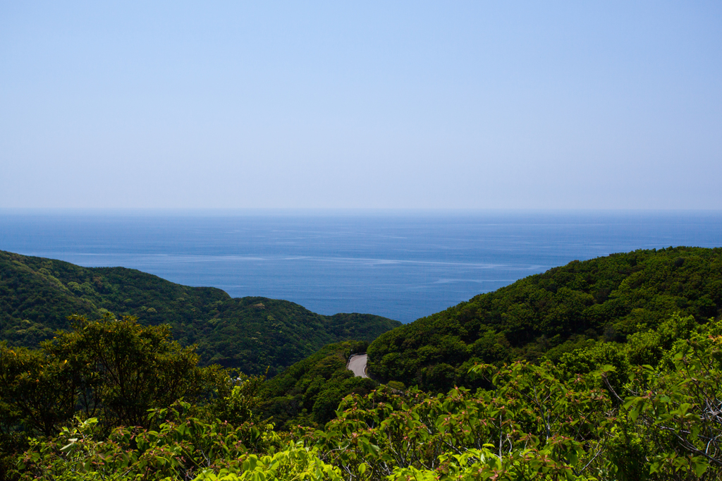 美波町伊座利