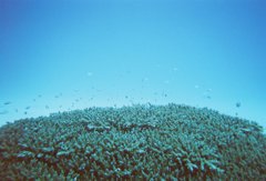波照間島