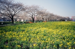 TVS2-00010011