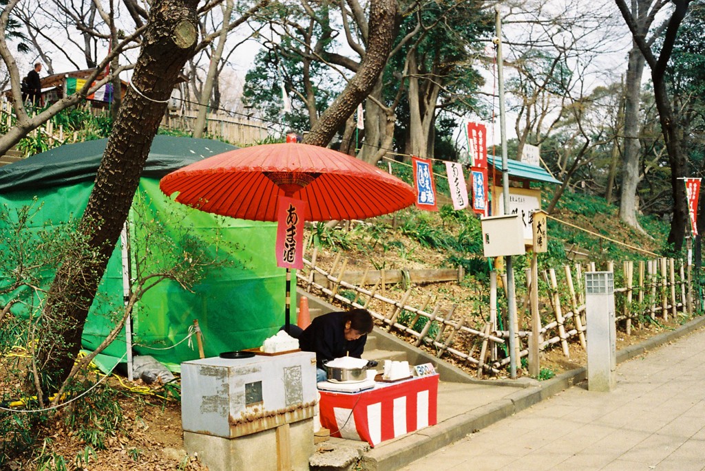 C35FD-20130316005