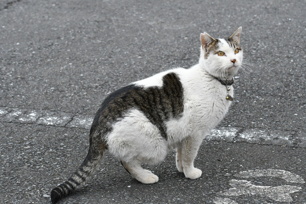 ふにくんの足あと