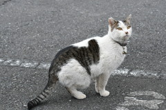 ふにくんの足あと