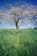 TVS2-00010025