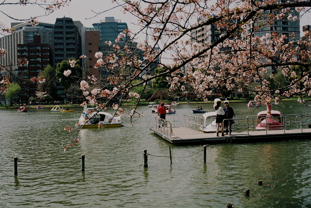Rollei35 009
