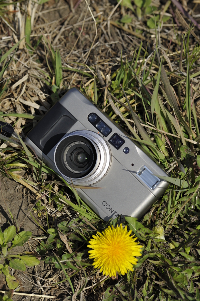 CONTAX_TvsⅡ