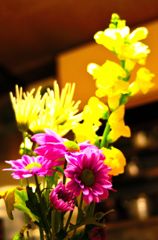 リビングの何の花