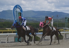 水沢競馬
