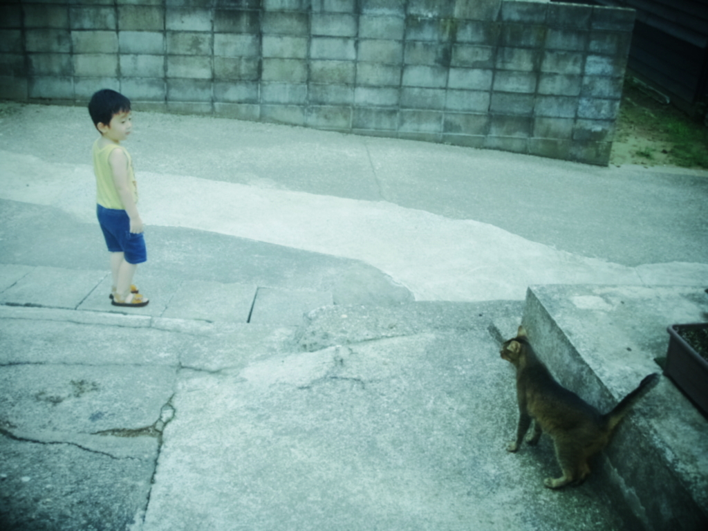 子供と猫