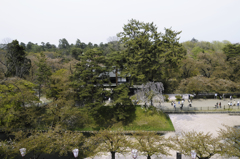 Hirosaki park perspective