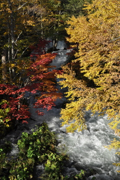 滝見橋
