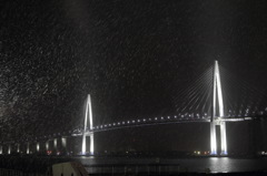 吹雪の中での新湊大橋