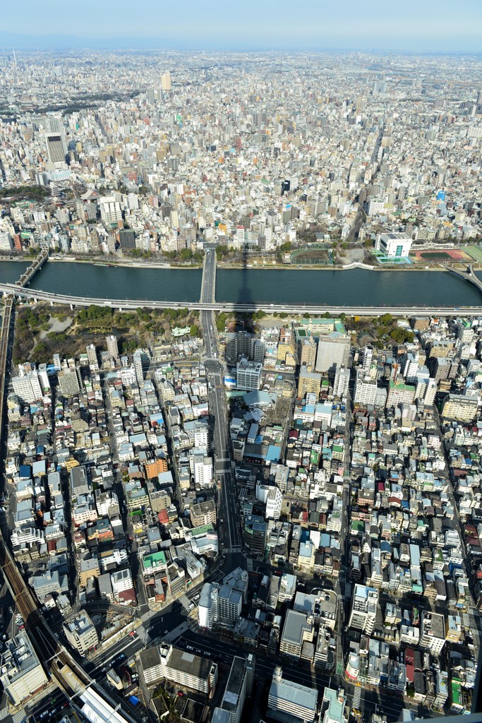 Tokyo Sky Tree#8