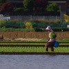 見沼の田植え