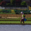 見沼の田植え