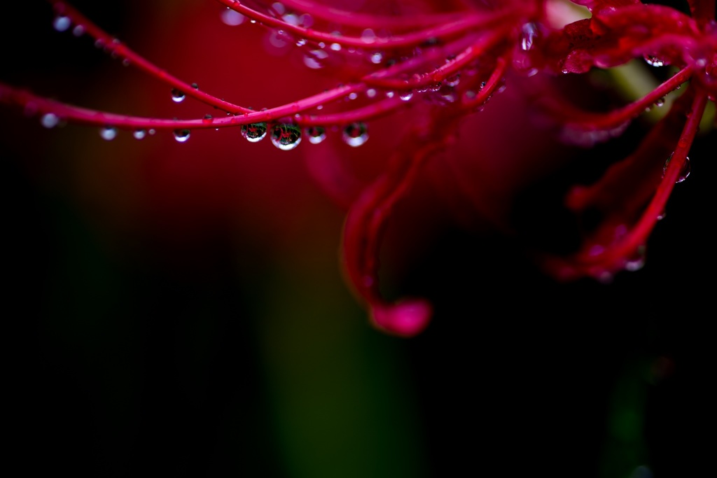 untitled1