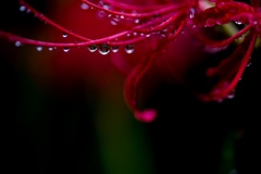 untitled1