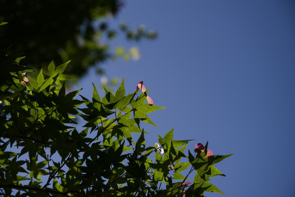 20160508-IMGP1419